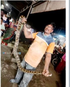 अजगर