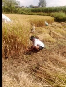 WhatsApp Image 2025-11-05 at 6.21.10 PM