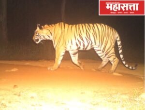 WhatsApp Image 2025-12-10 at 1.53.10 PM