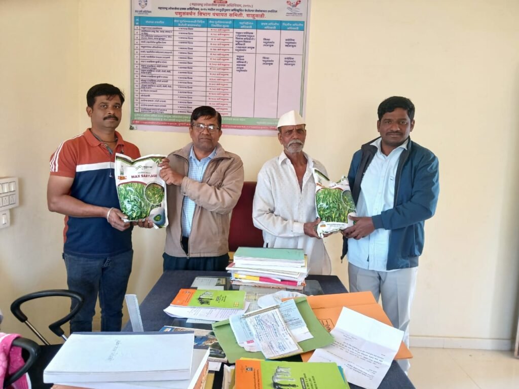 सरूड पशुवैद्यकीय विभागामार्फत वैरण विकास कार्यक्रमांतर्गत शेतकऱ्यांना मका वाटप