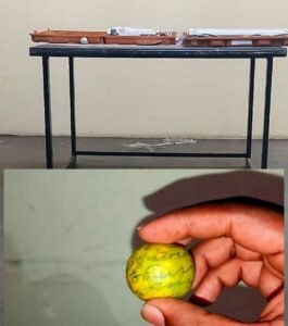 WhatsApp Image 2026-01-15 at 8.00.05 PM