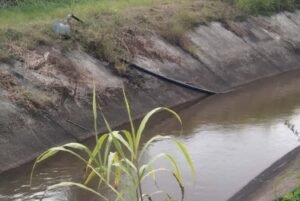 IMG-20260918-WA0018